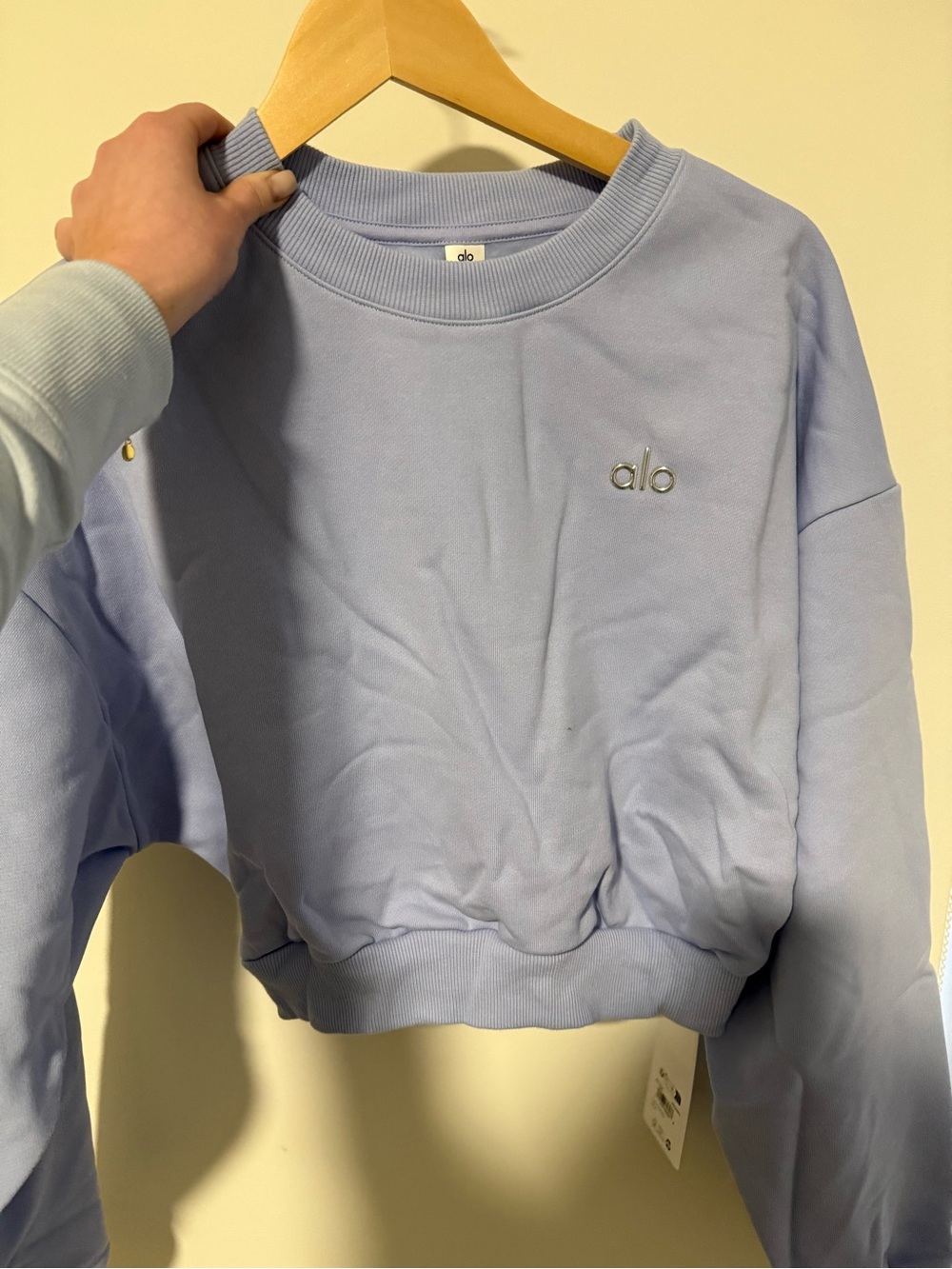 NWT ALO Yoga Accolade Cropped Crewneck Sweatshirt